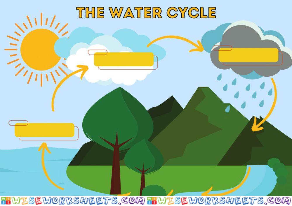 THE WATER CYCLE