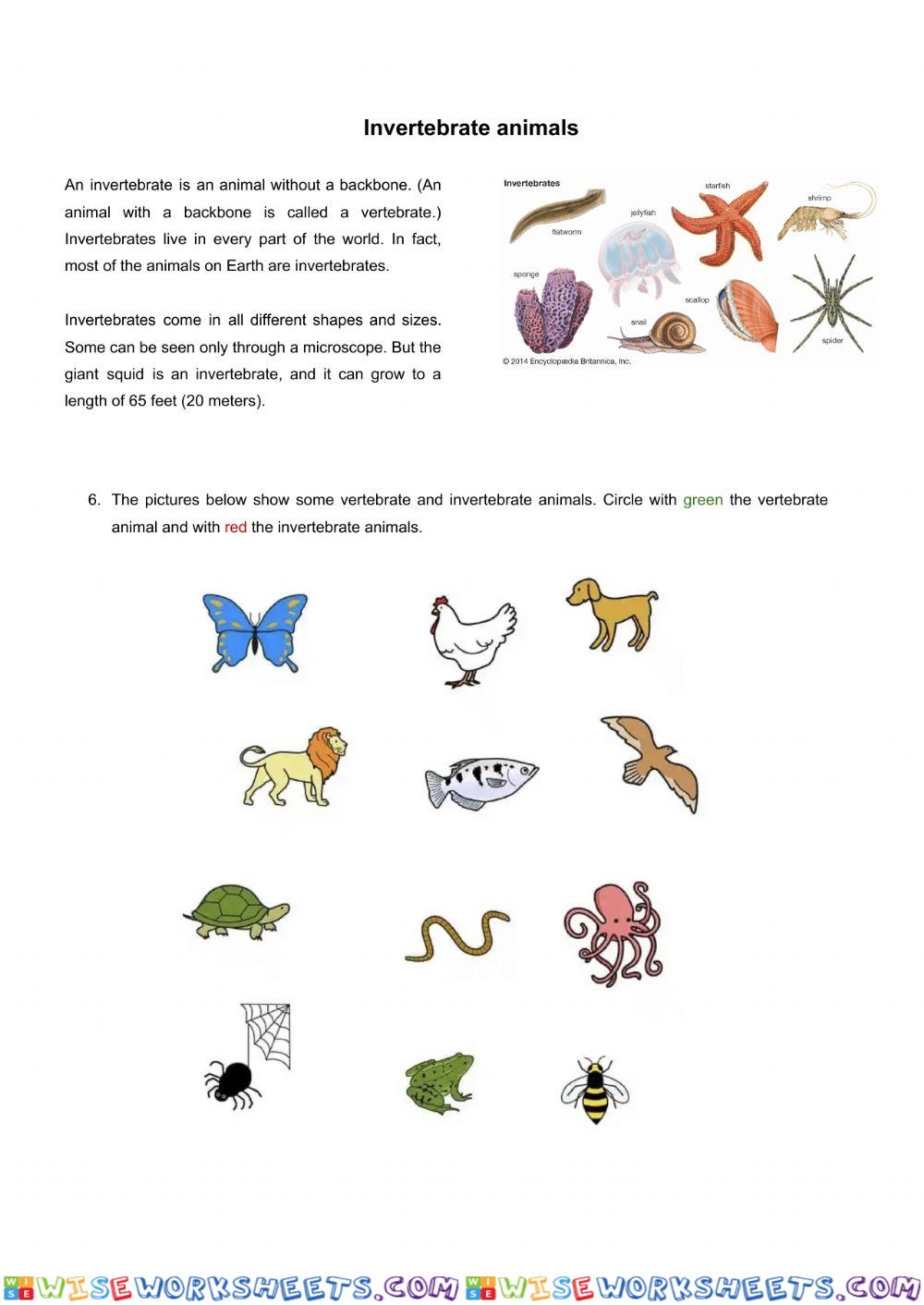 worksheet
