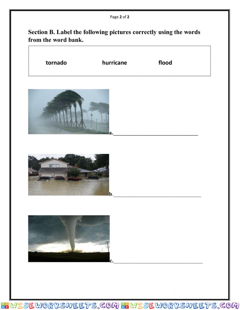 worksheet