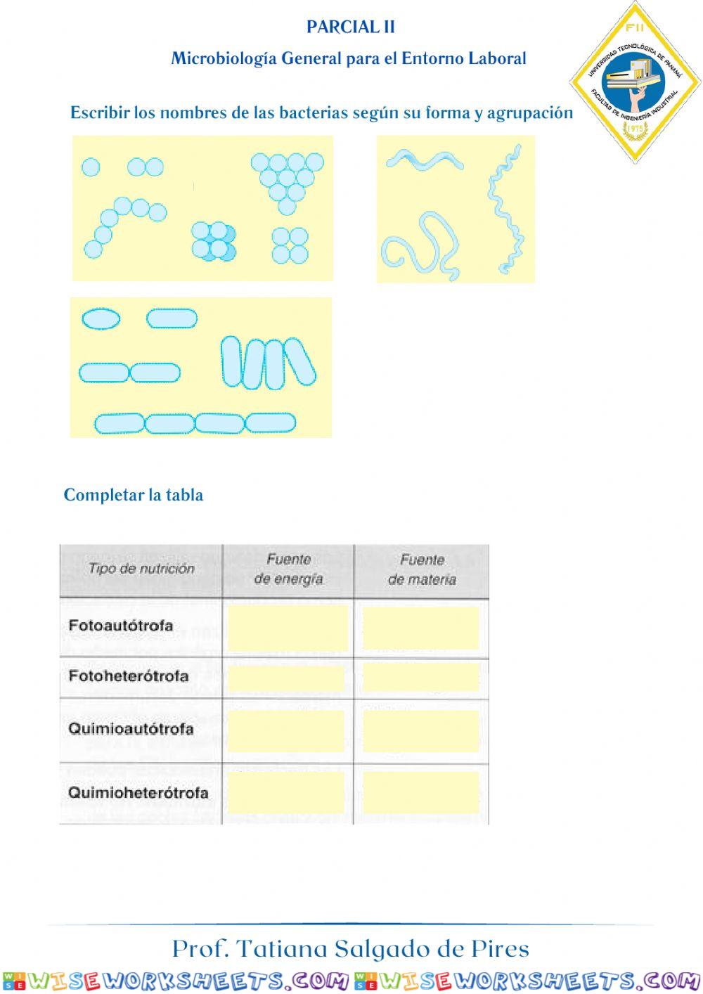 worksheet