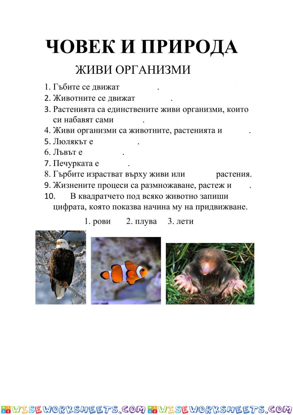 Тест по Човекът и Природата-Живи Организми   3-ти клас