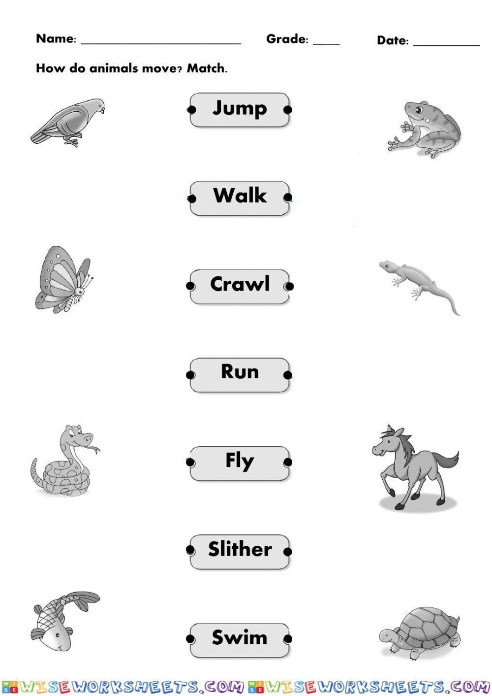 Movements and Parts of Animals