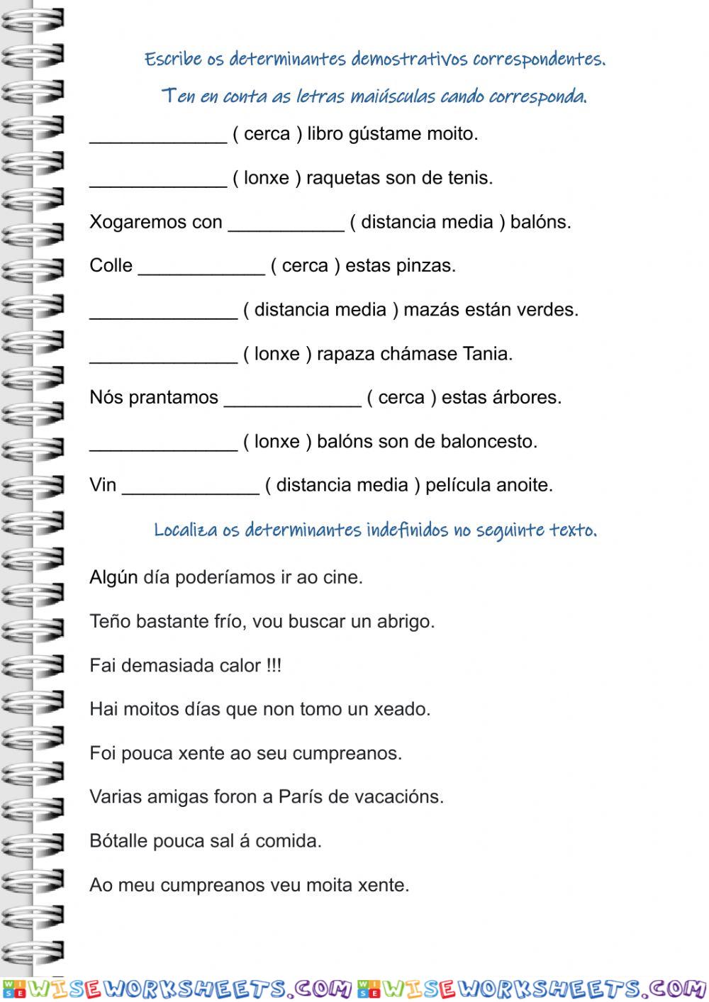 Determinantes demostrativos e indefinidos