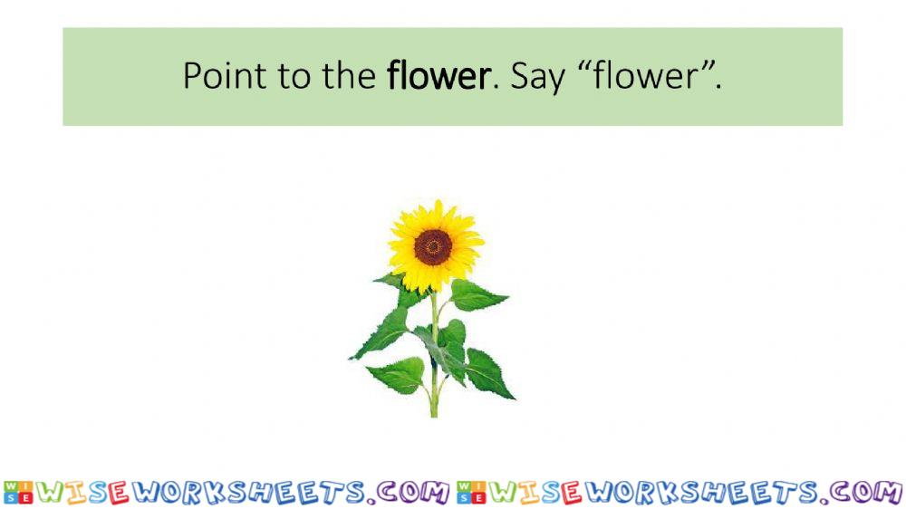 worksheet