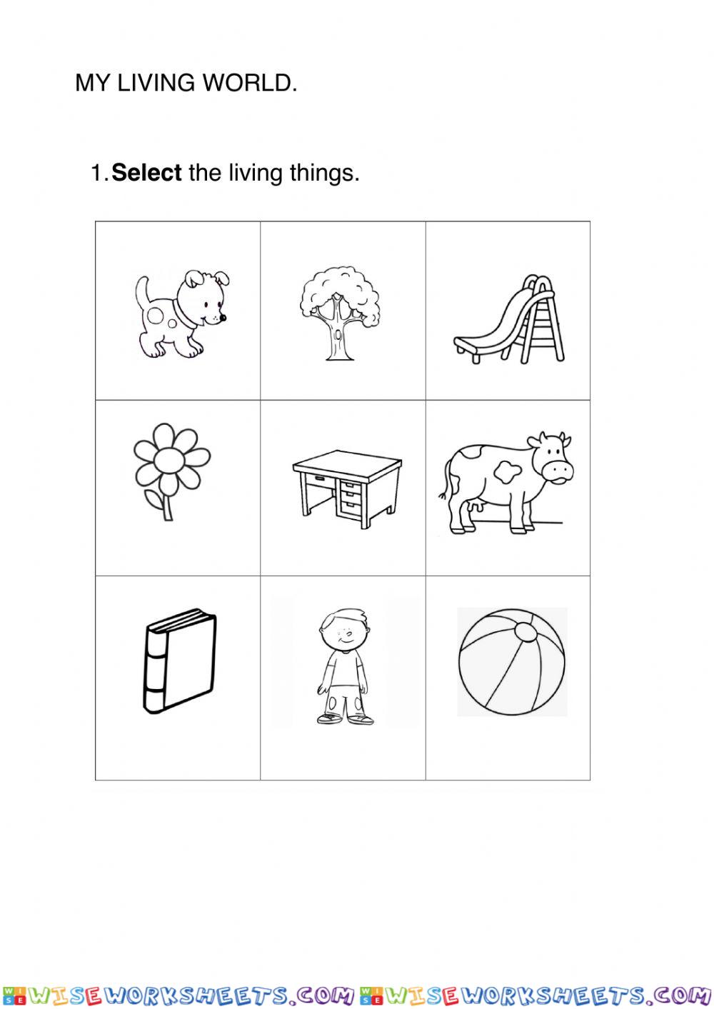 worksheet