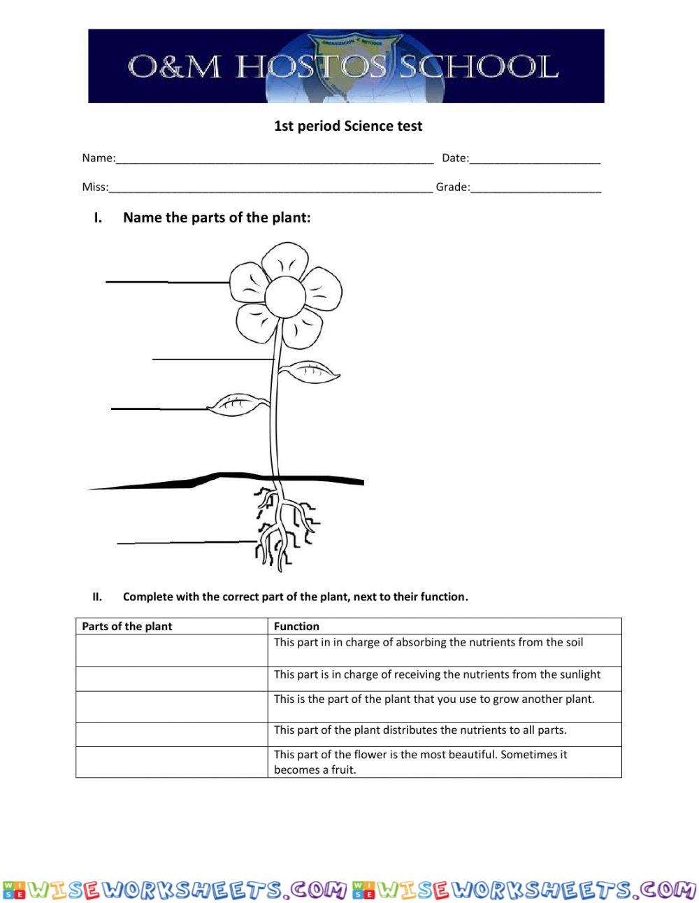 Science G3 December test