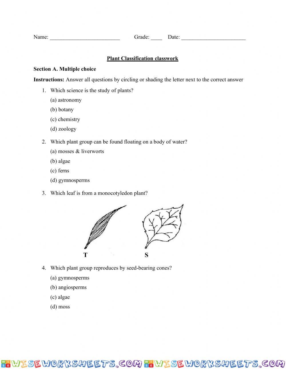 Plant Classification Review