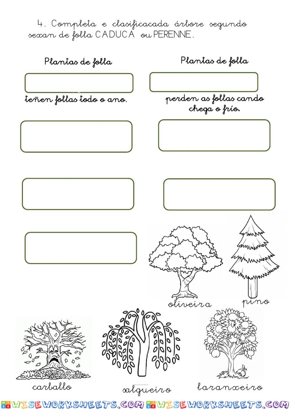 worksheet