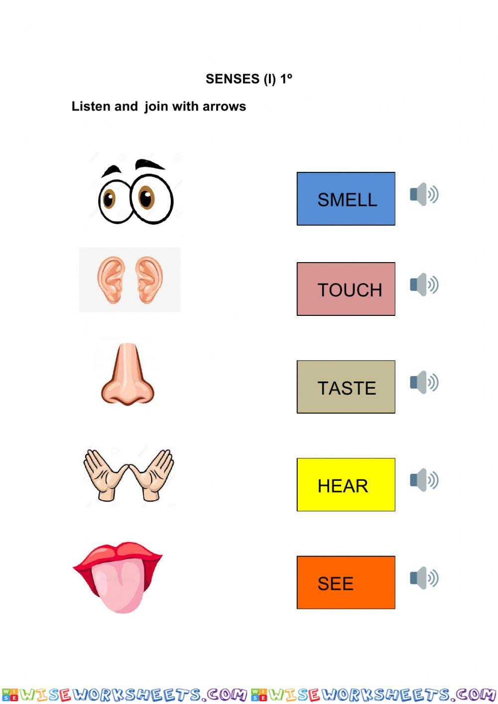 Senses