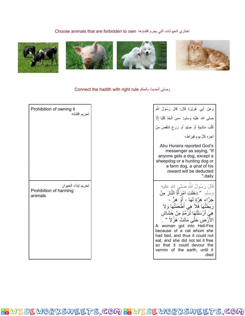 worksheet