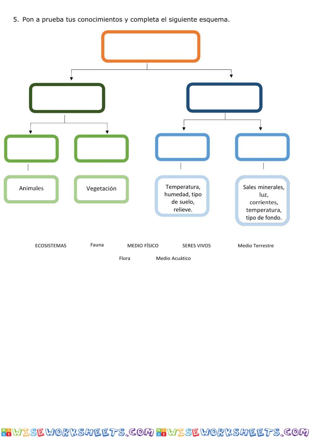 worksheet