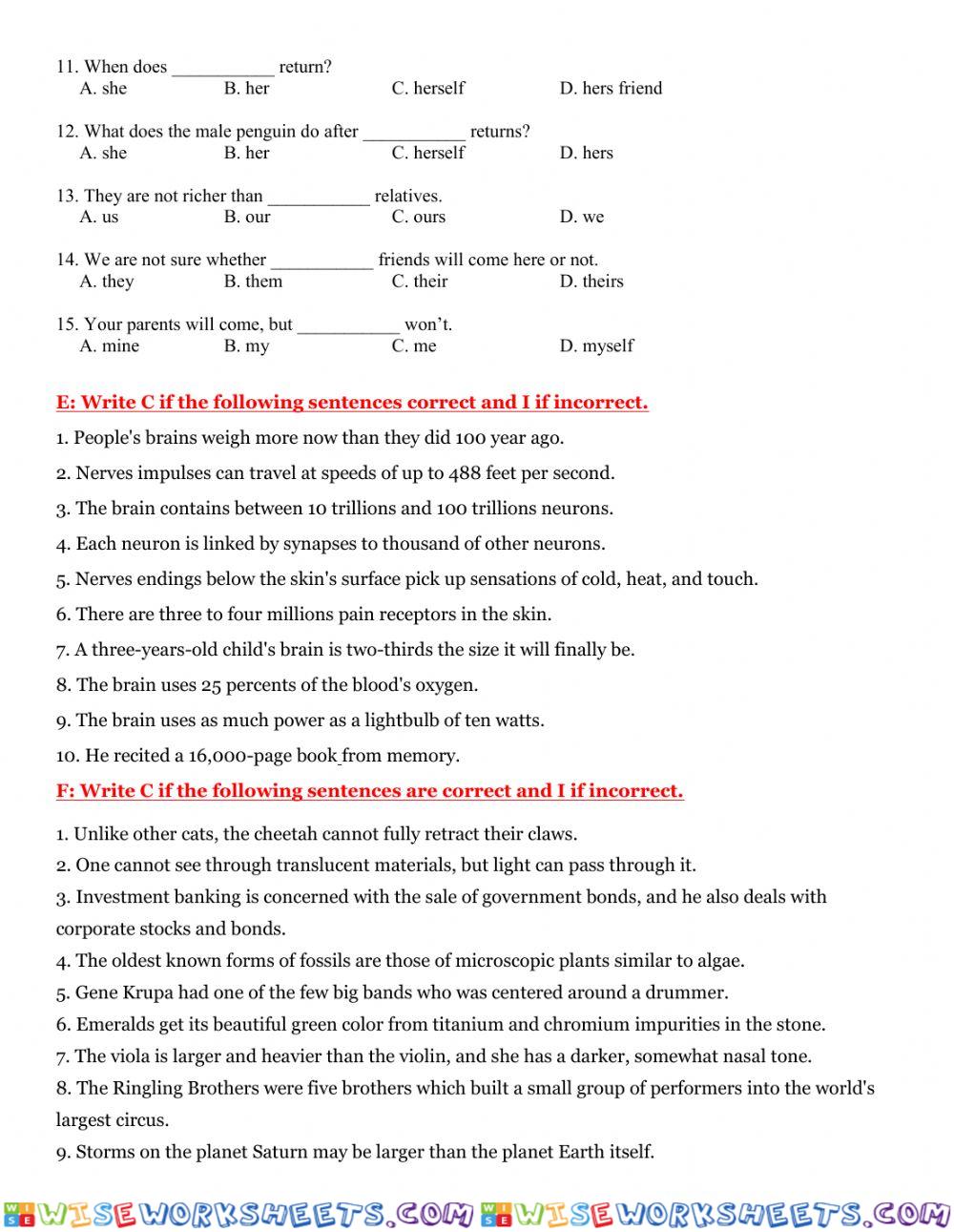 worksheet