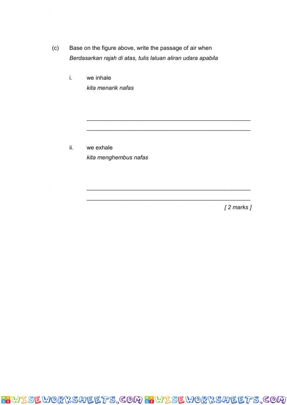 worksheet