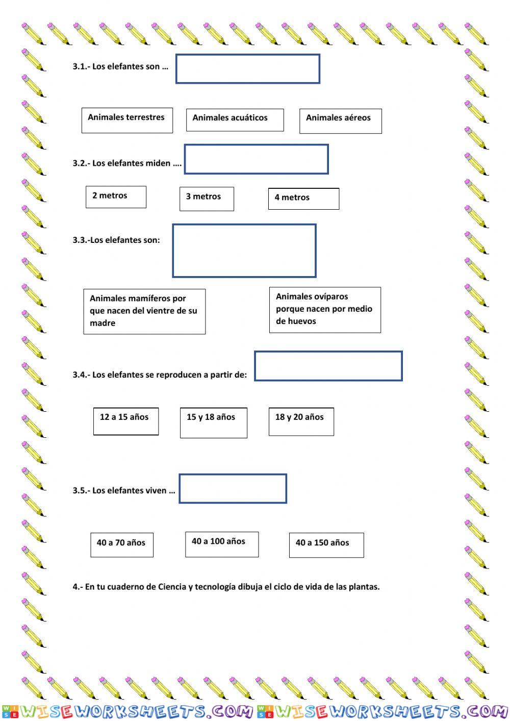 worksheet