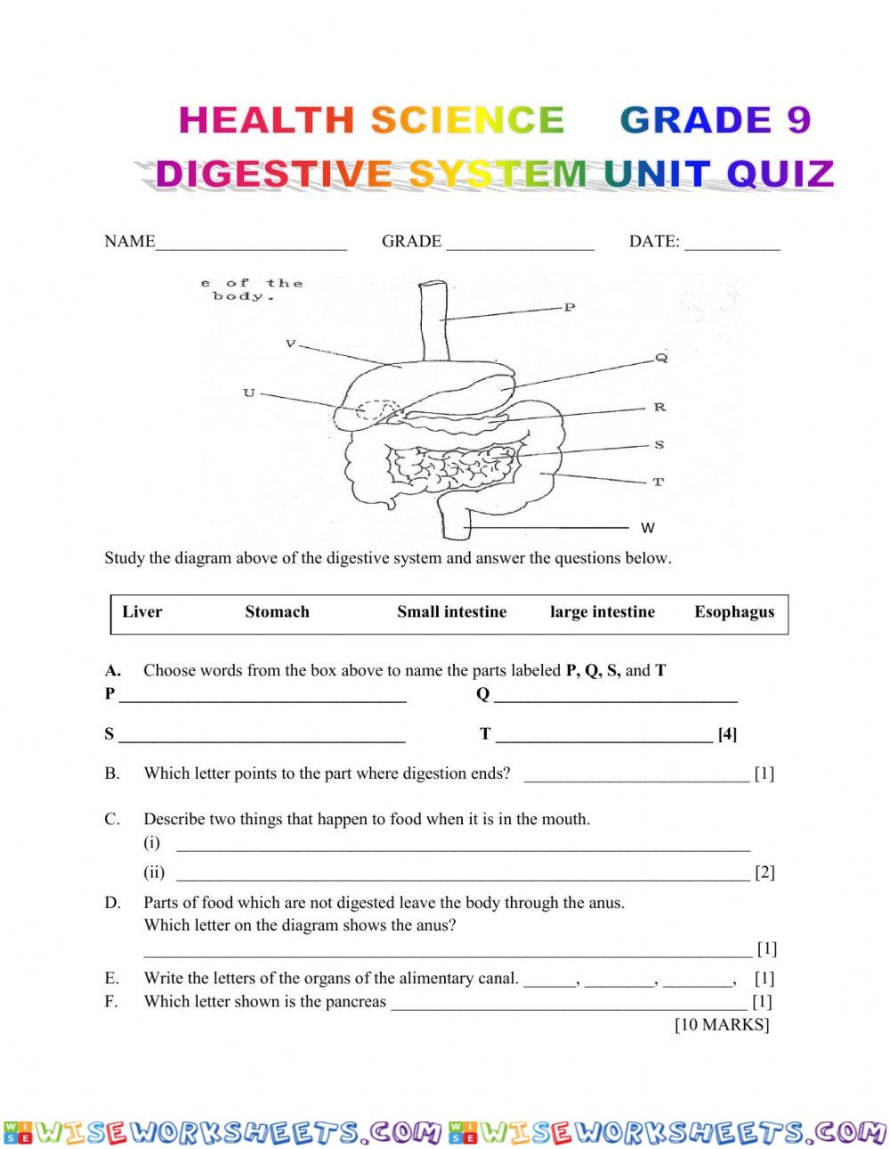 Health science unit quiz - DIGESTIVE SYSTEM