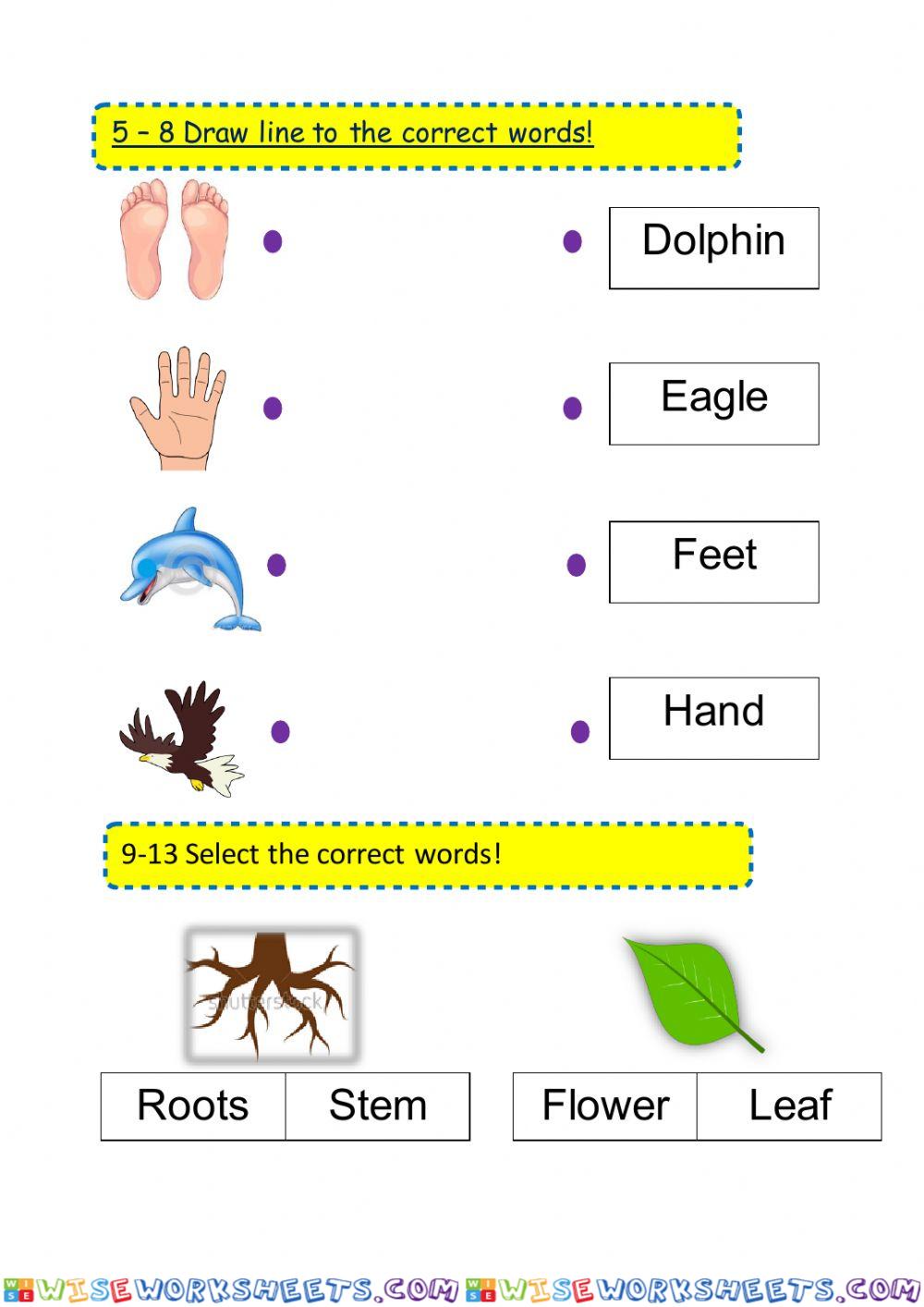 worksheet