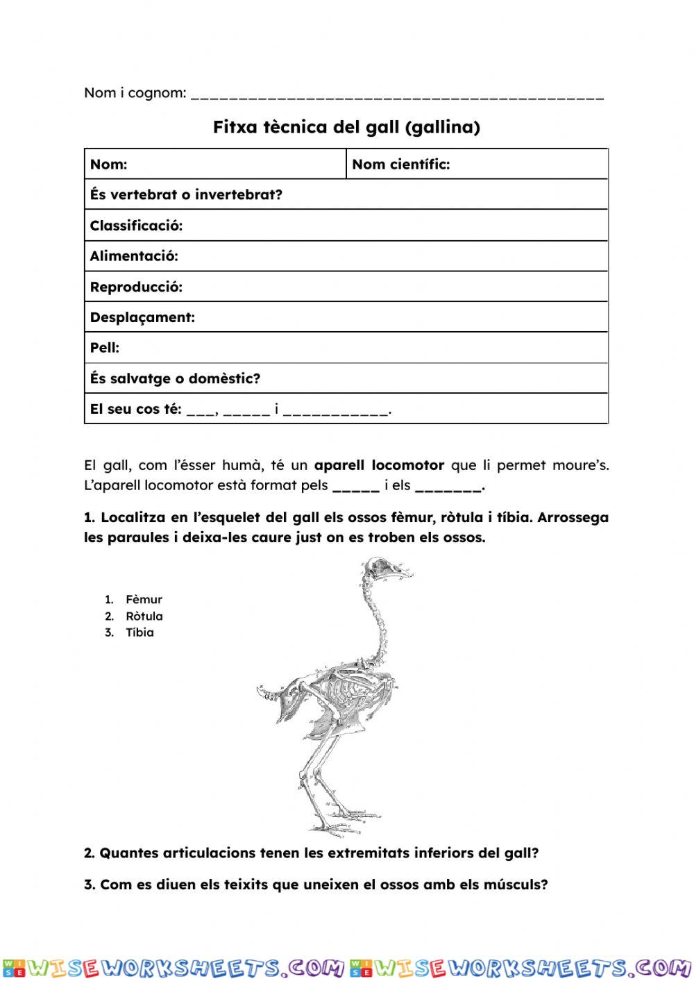 worksheet