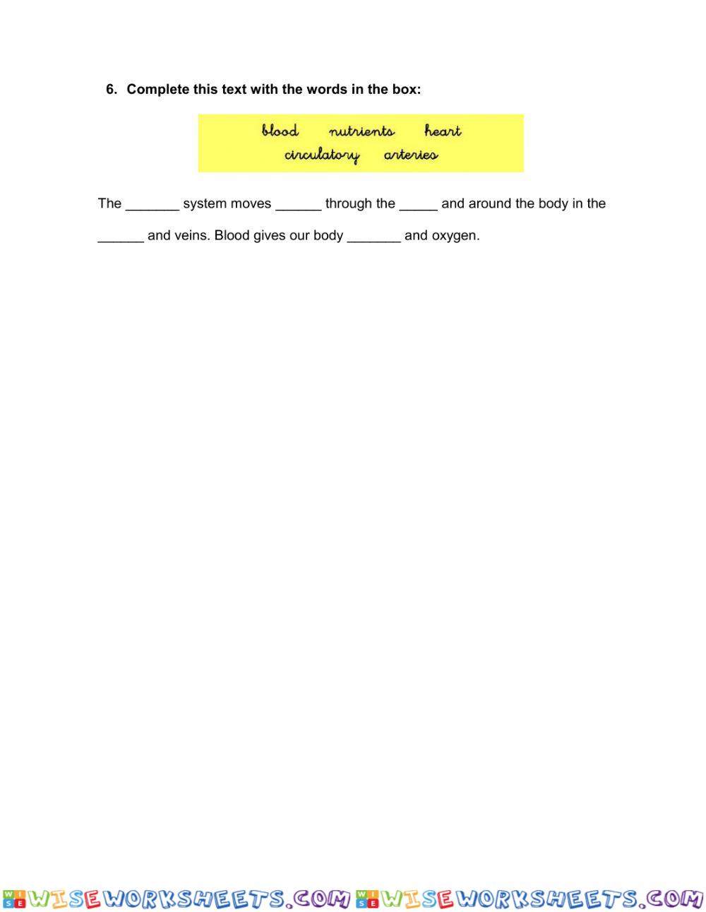 worksheet