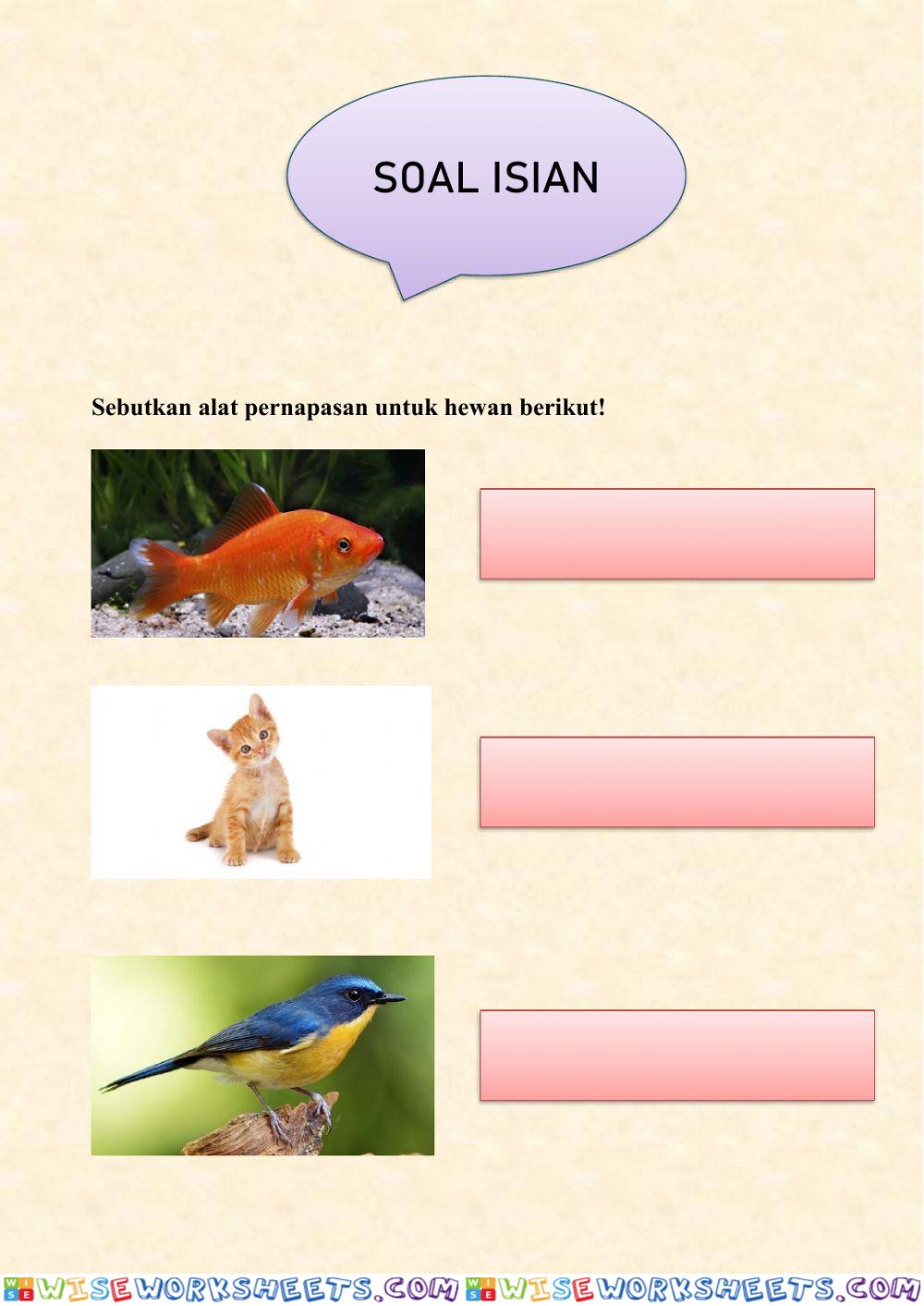 worksheet