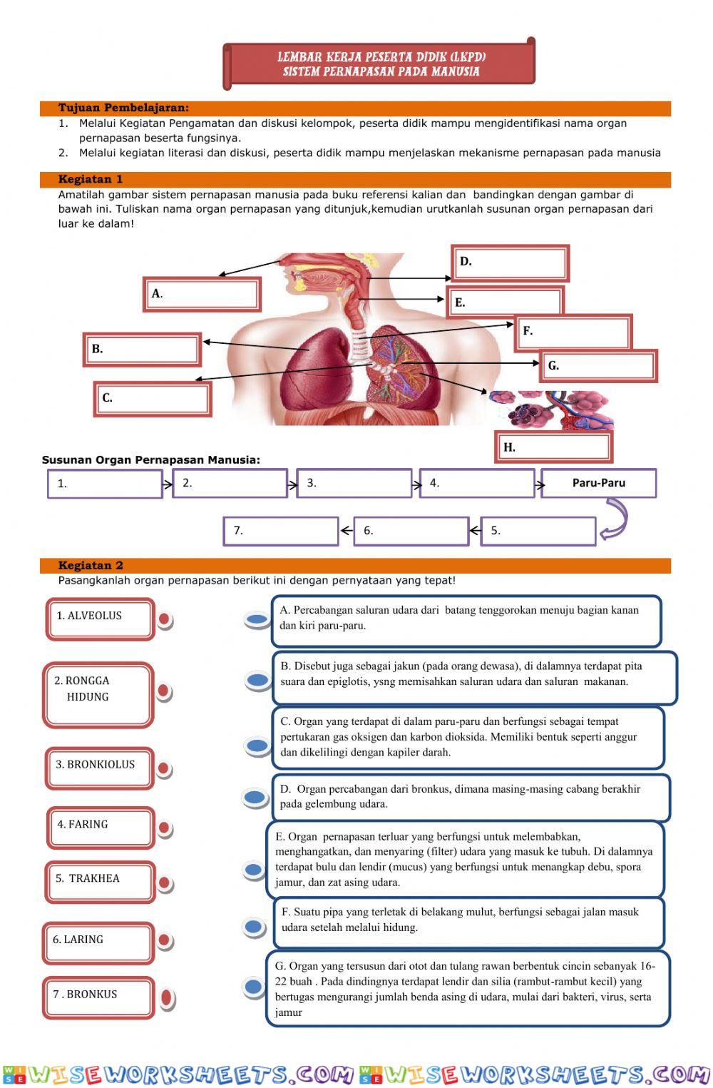 worksheet