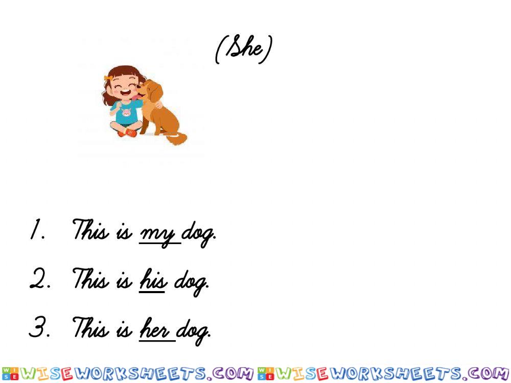 worksheet