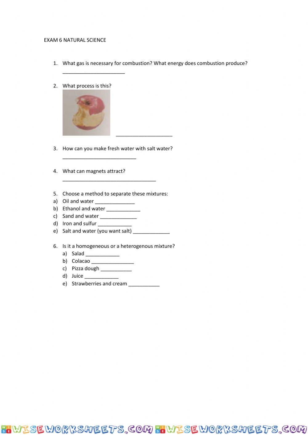Exam 6 primary matters