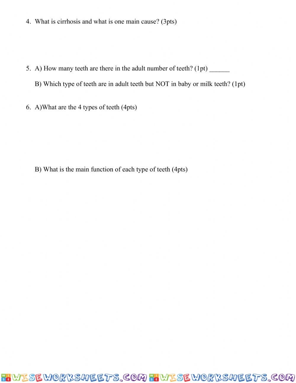 worksheet