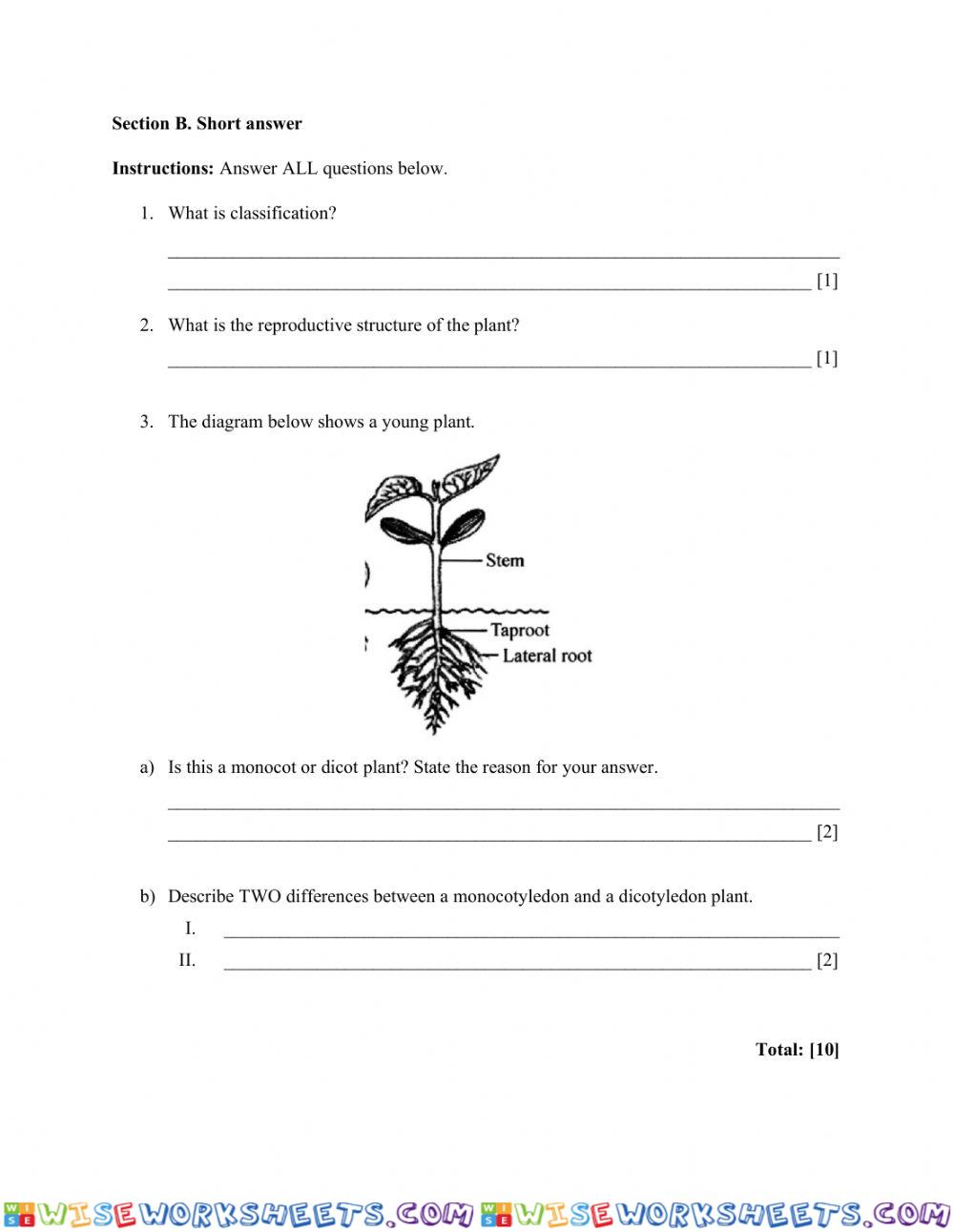 worksheet