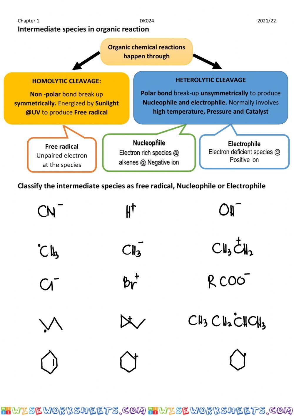 worksheet