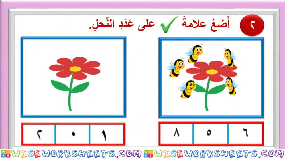 الفصل الاول الدرس 7