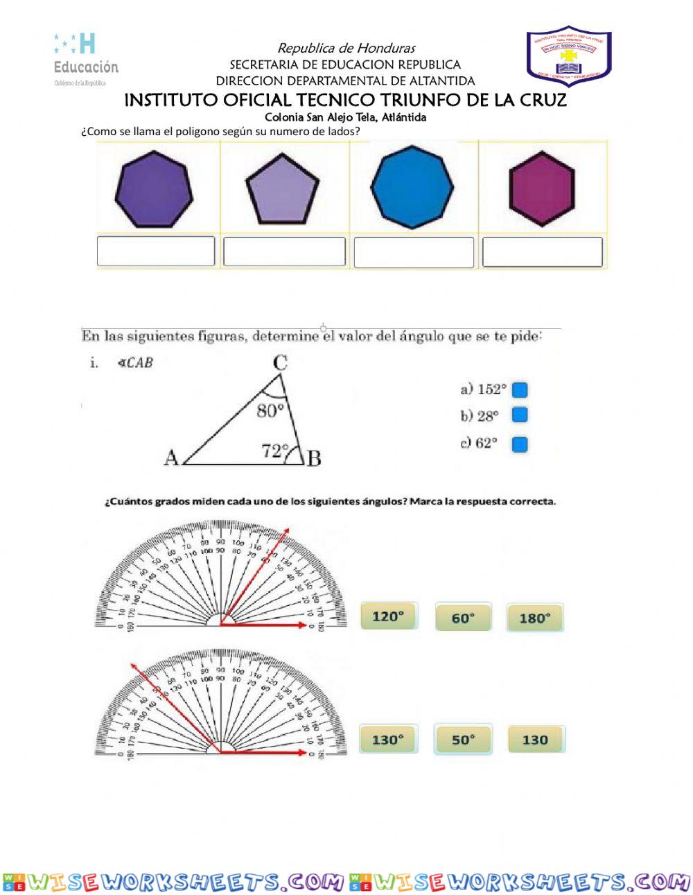 worksheet