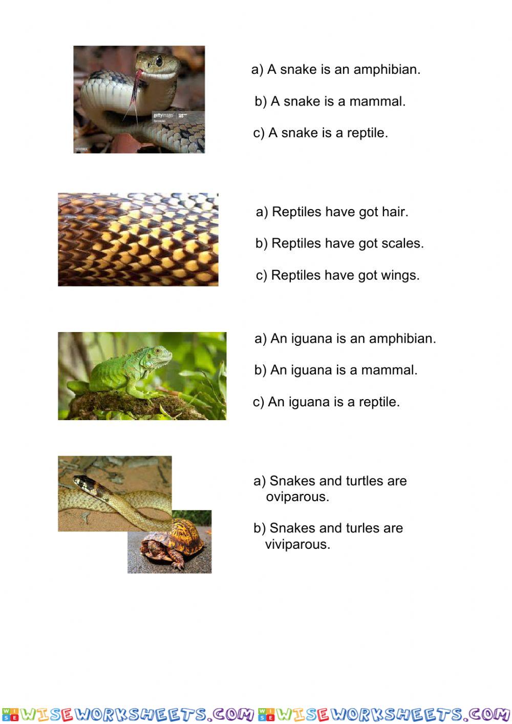 worksheet