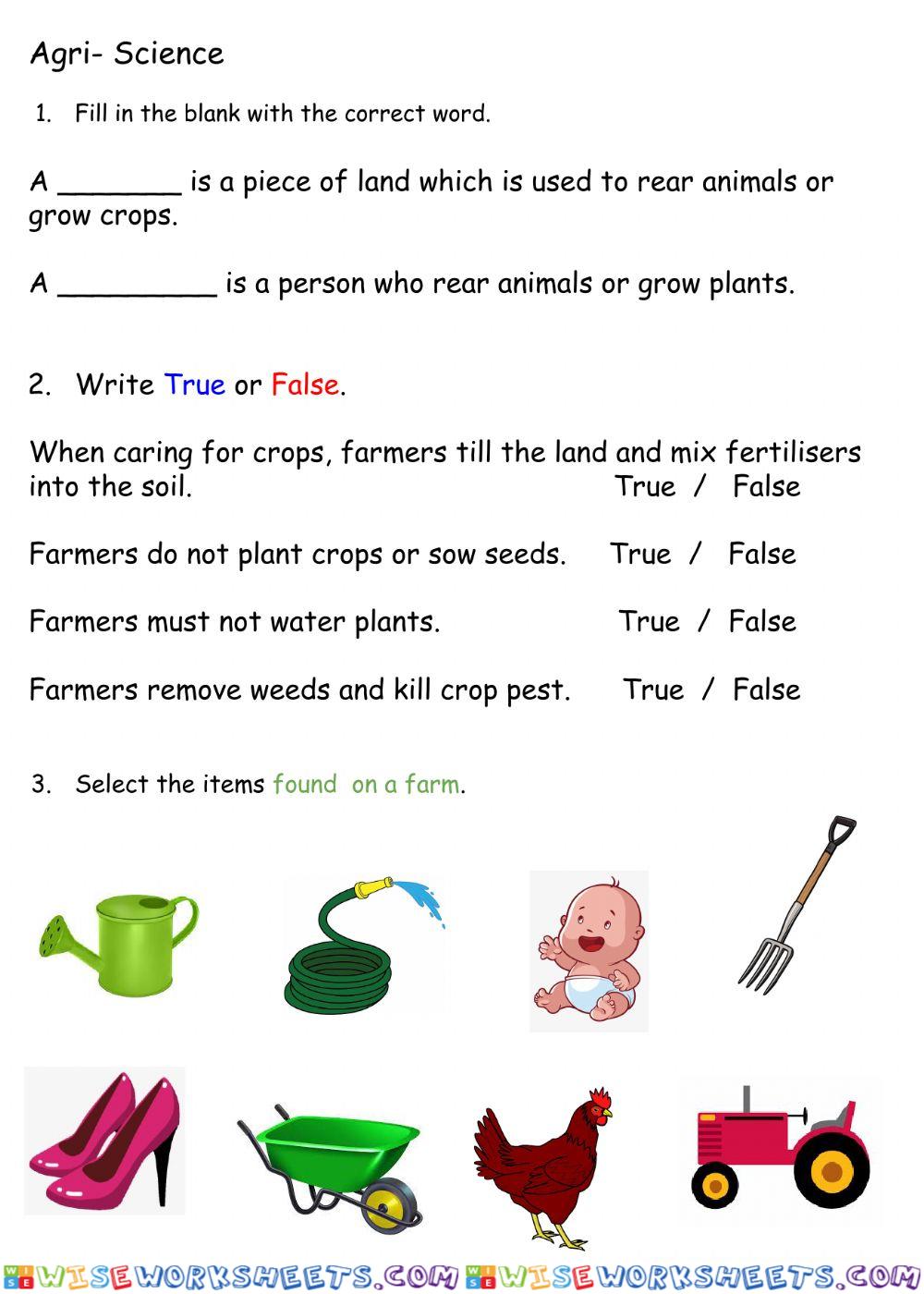 worksheet