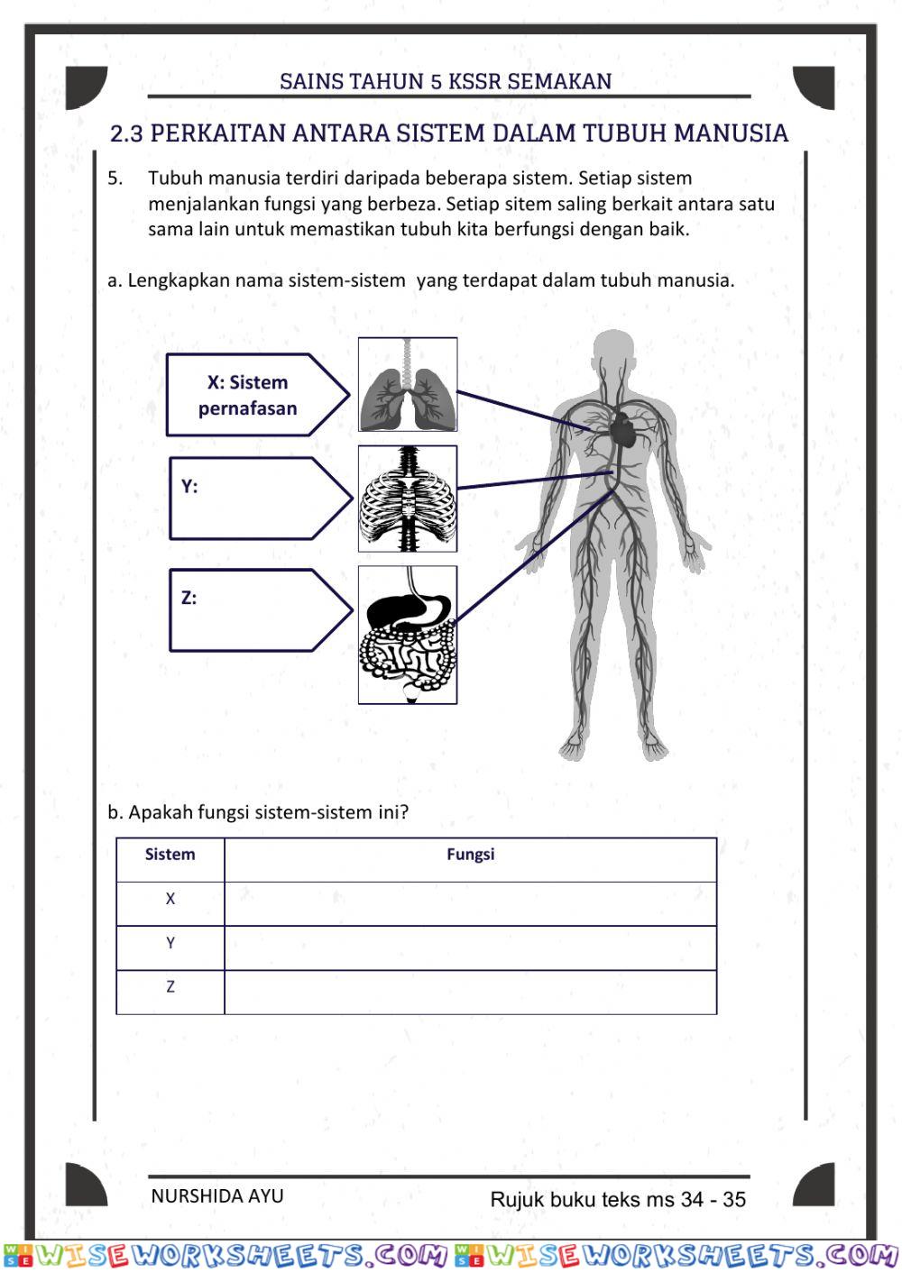 worksheet