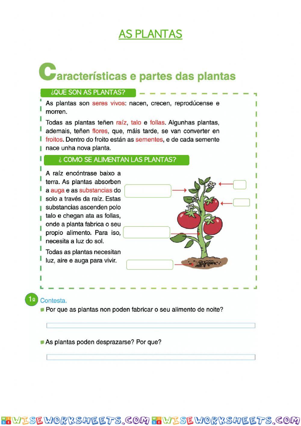 As plantas