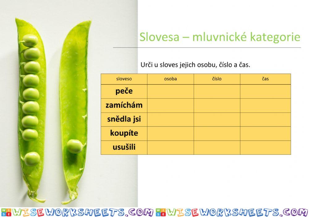 Slovesa - mluvnické kategorie 03