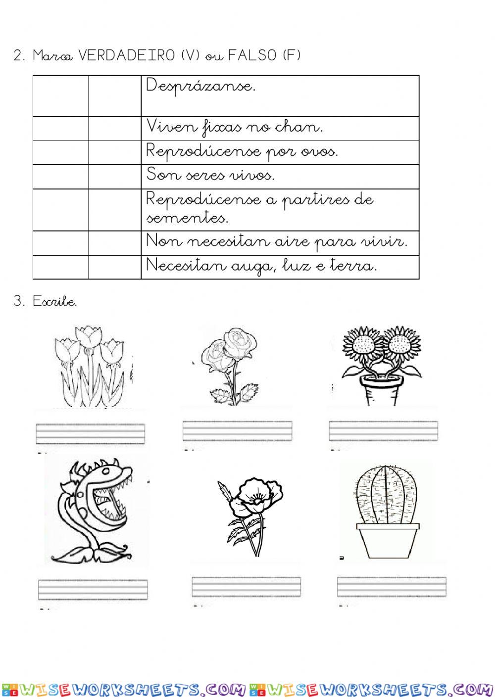 worksheet