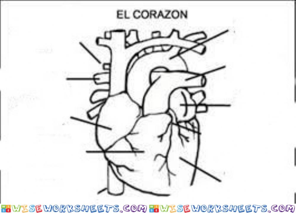 Corazón