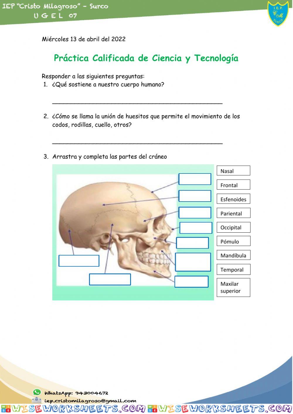 Practica de ciencias