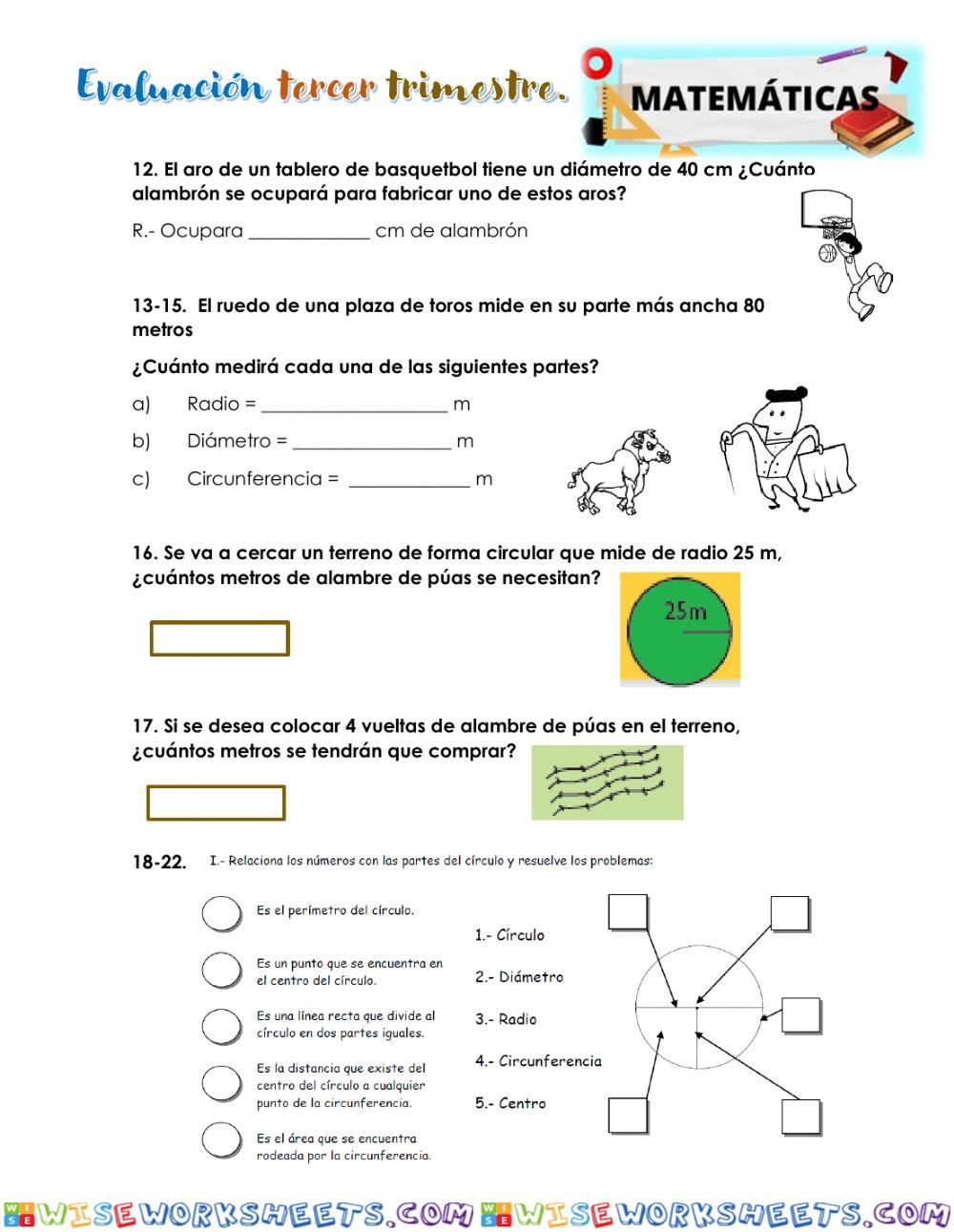 worksheet