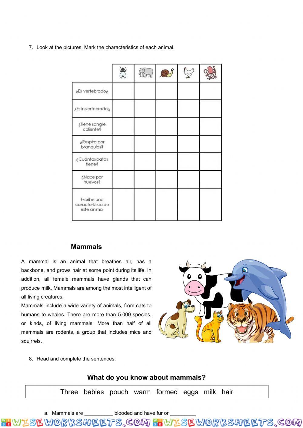 worksheet