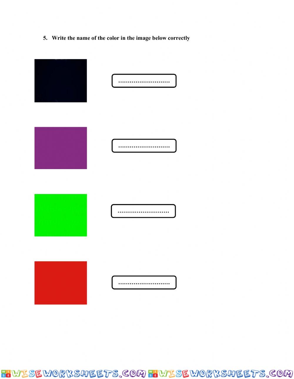 worksheet