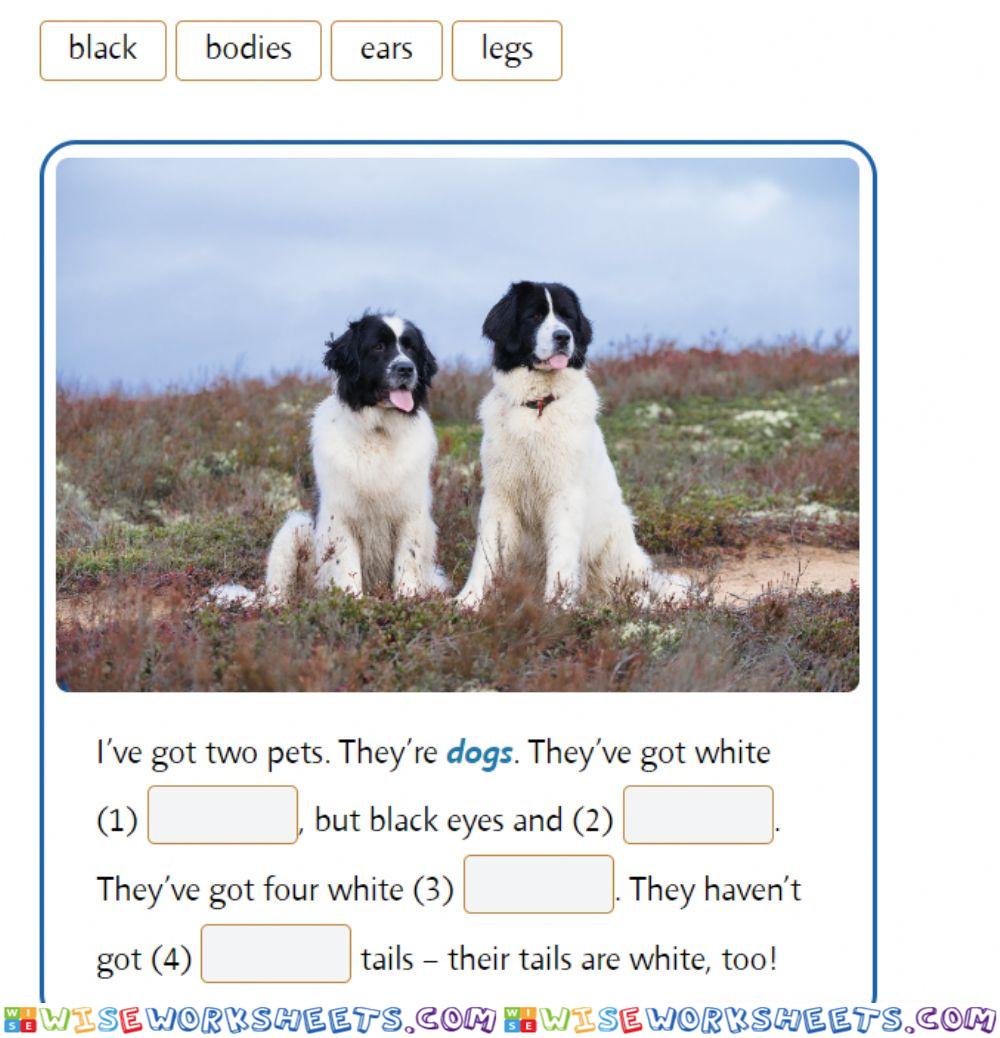 Dogs