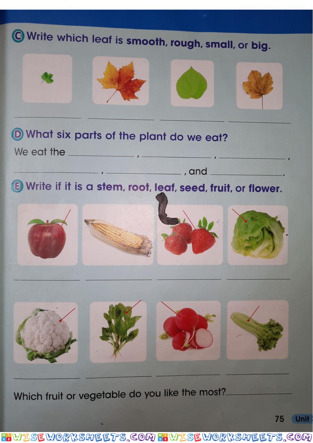 worksheet
