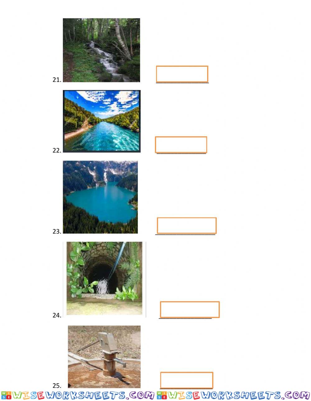 worksheet