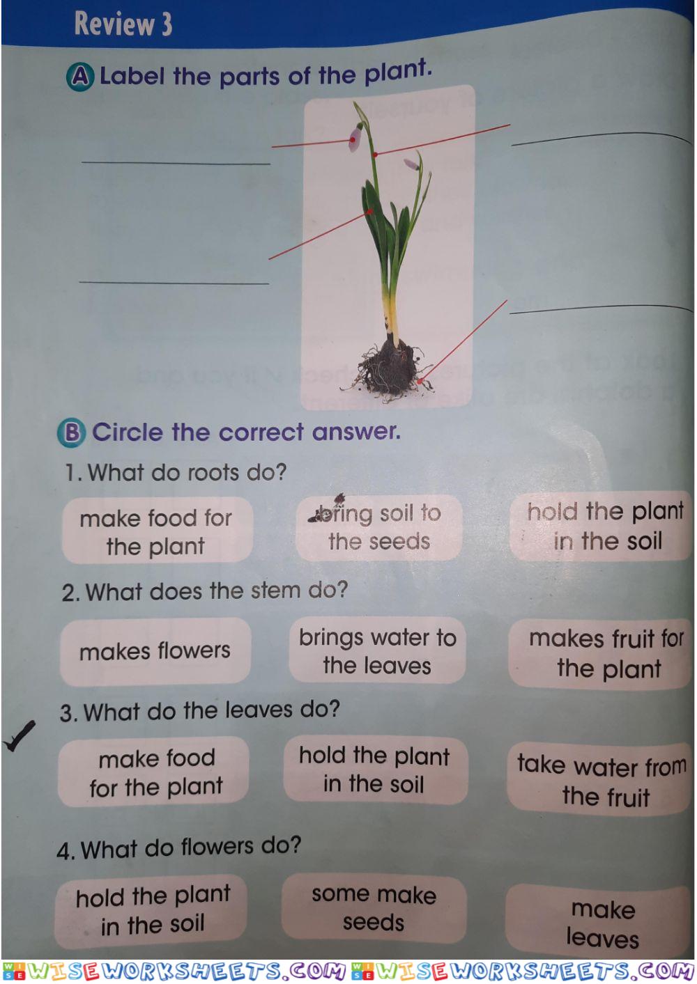 Plants AND ANIMALS