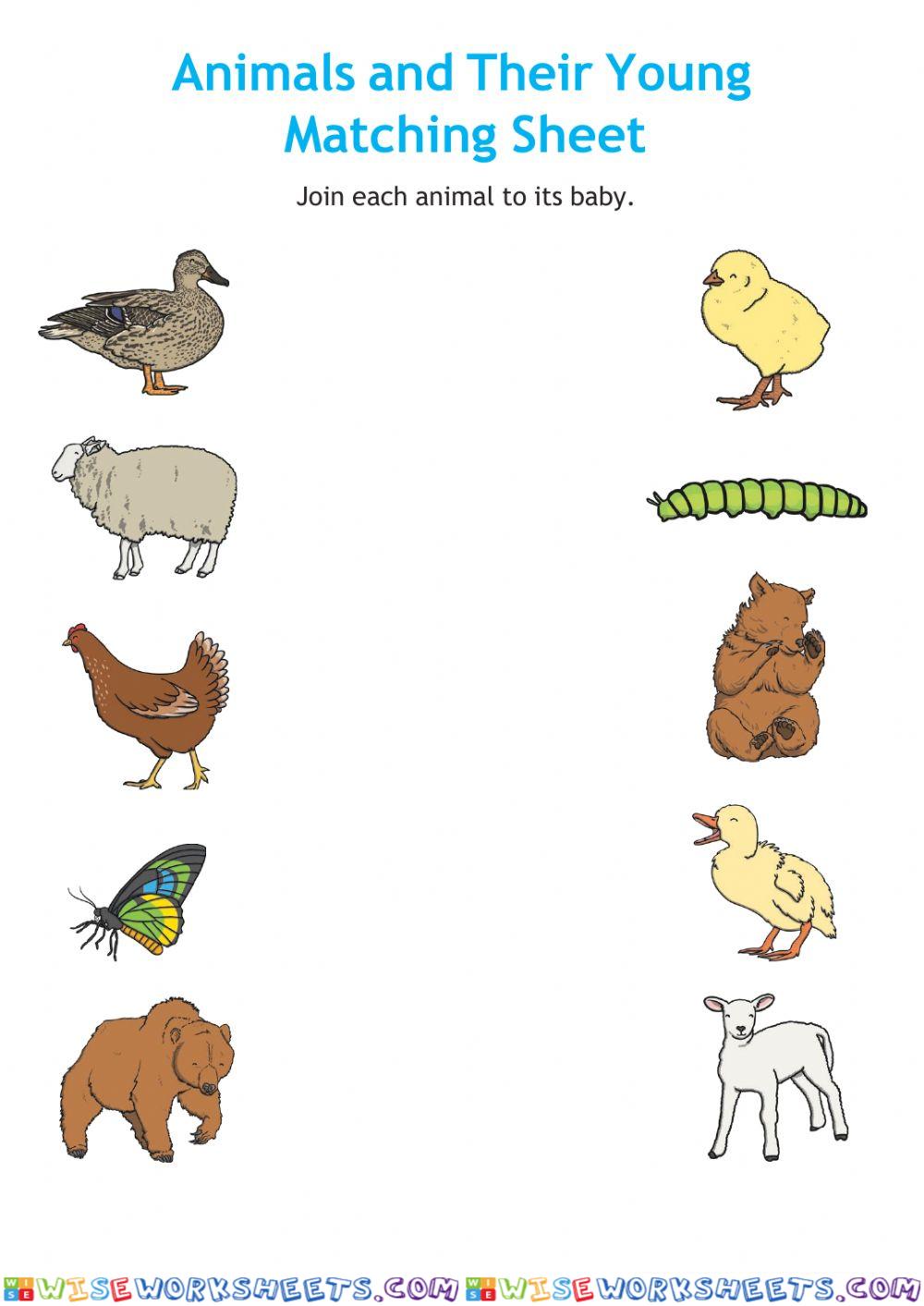 worksheet