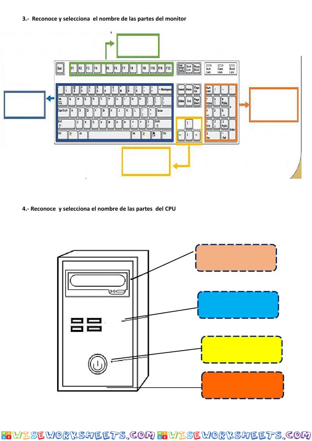 worksheet