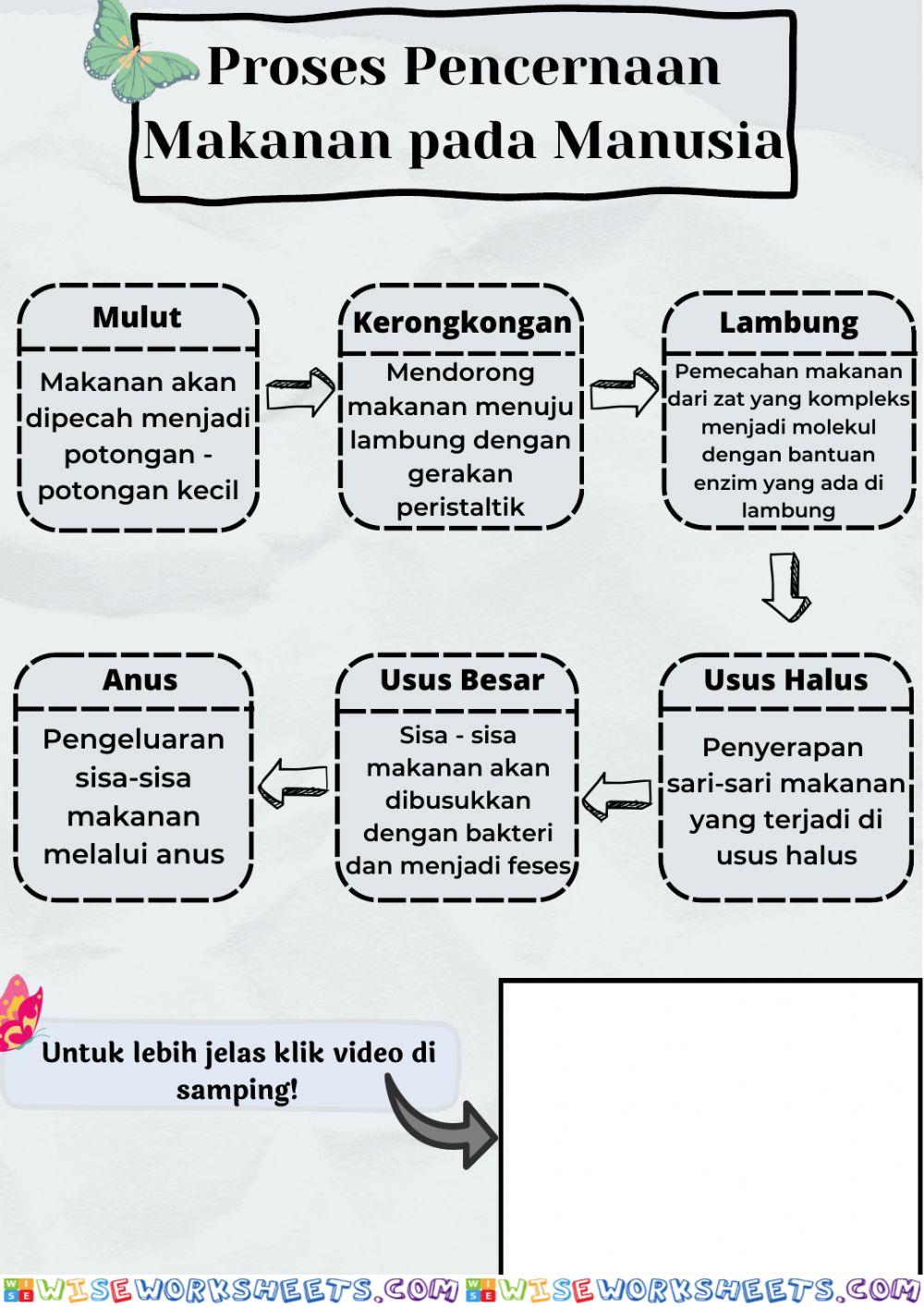 worksheet