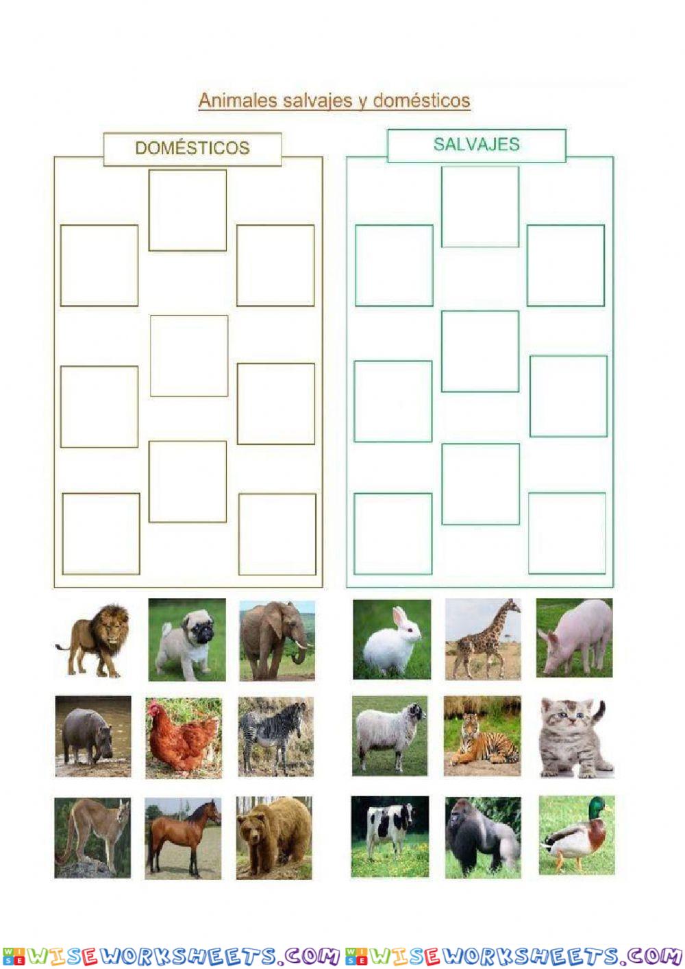 Animales domésticos y salvajes